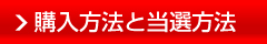 購入方法と当選方法