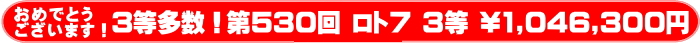 	ロト7第530回 当選券画像！